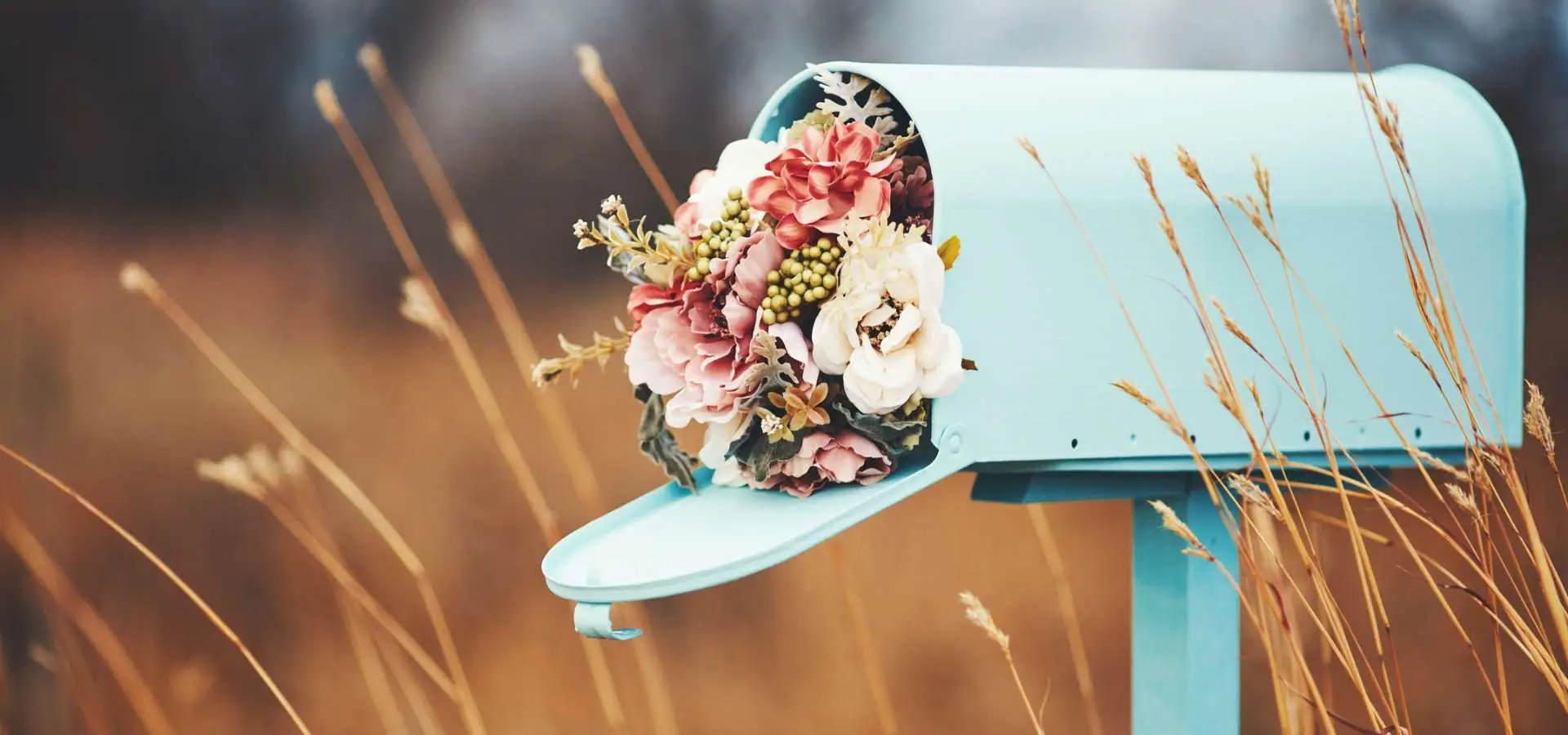 kwiaty w skrzynce pocztowej